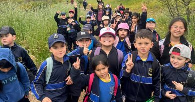 Salida Educativa al Cerro de Gumera  1° y 2° Básico 