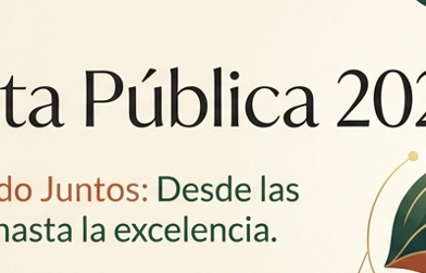 CUENTA PUBLICA 2026