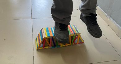 Construyendo Puentes Resistentes, a cargo de la Profesora Marcela Ramírez