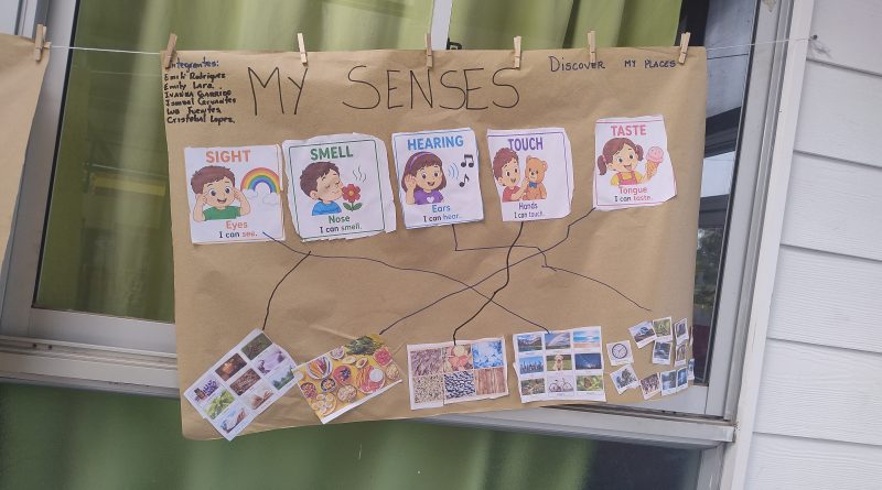 SENSES